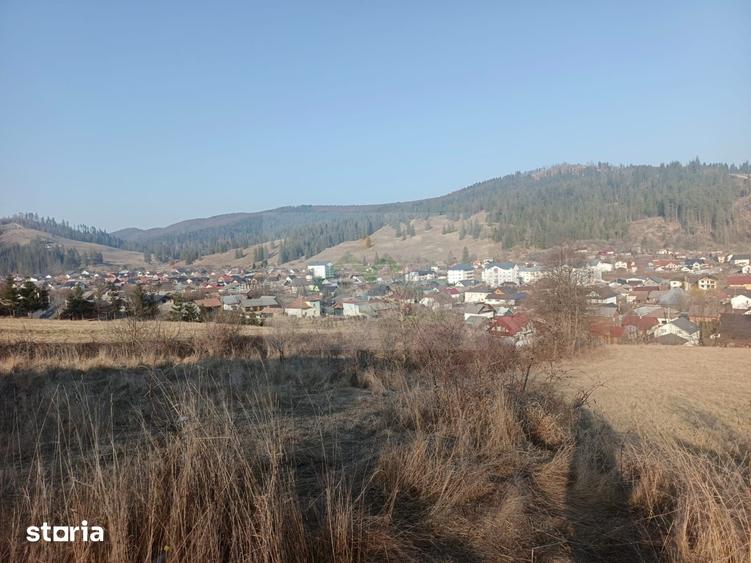 Teren de 3000 mp, în Curtești