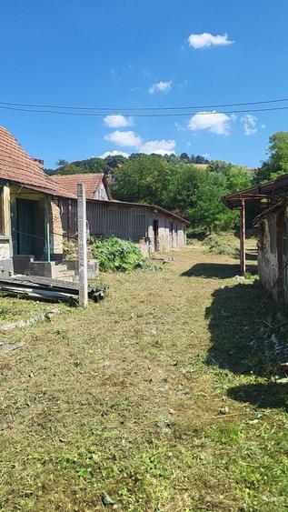 Casă cu 2 camere în Rapolțel