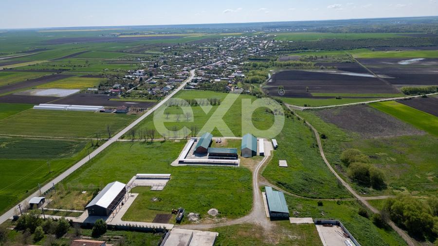 Teren Construcții intravilan de 105000 mp, în Crânguri