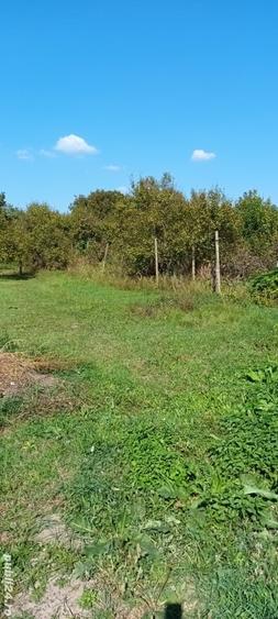 Casă cu 3 camere în Sânandrei