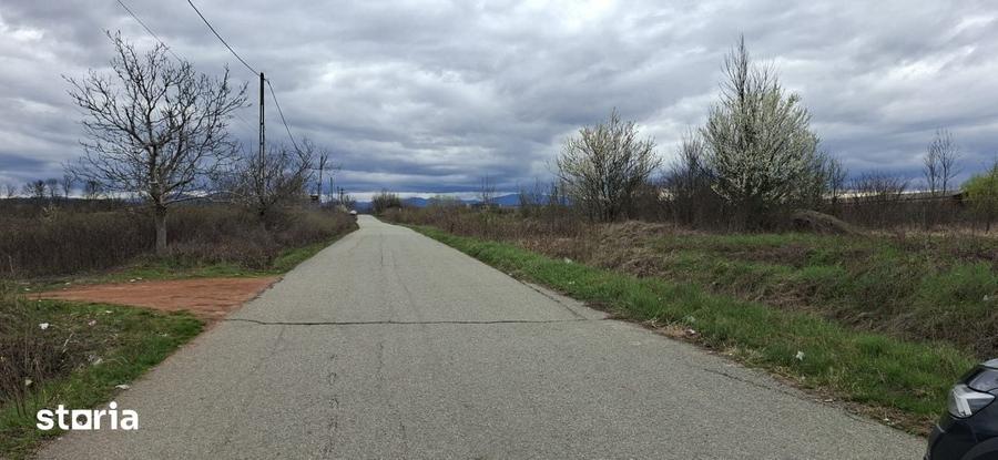 Vanzare teren intravilan 20.386 mp in Calnictraversat de rau, 19 km - 6