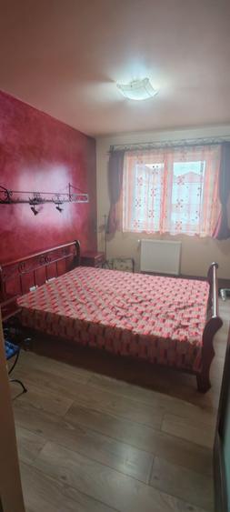 Inchiriere apartament 2 camere Terezian - 5