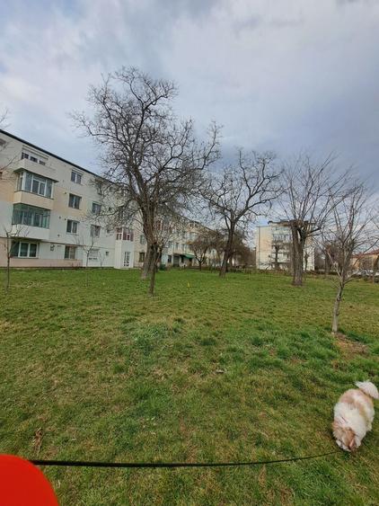 Apartament 3 camere bulevardul oituz Onesti - 2