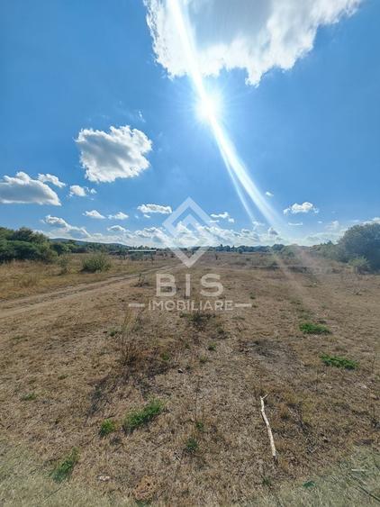 Teren agricol extravilan de 12600 mp, în Unirea