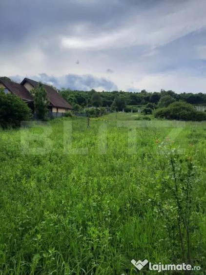 Teren de 1800 mp, în Ciurila