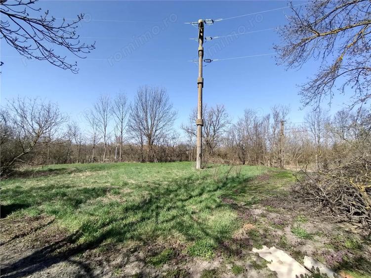 Casă cu Teren 3800 Mp în Răchitova