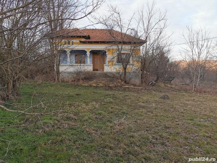 Teren de 6000 mp, în Priboieni