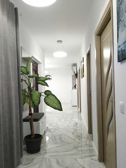 Casă cu 2 camere în Vladimirescu