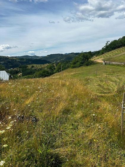 Teren de 5833 mp, în Bistra