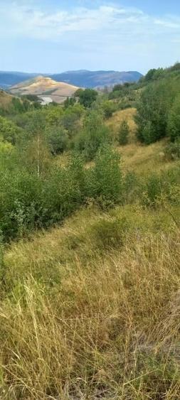 Teren Construcții intravilan de 10000 mp, în Tranișu