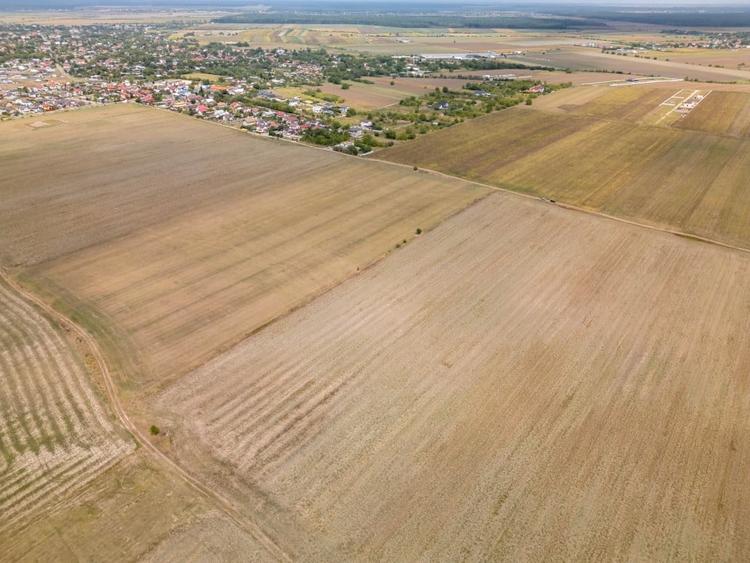 Teren Construcții intravilan de 7500 mp, în Dascălu