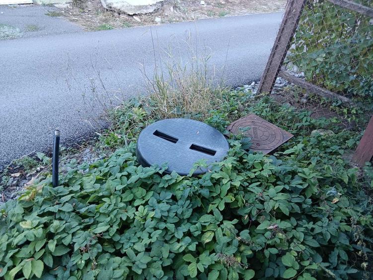 Casă în Pădurea Neagră