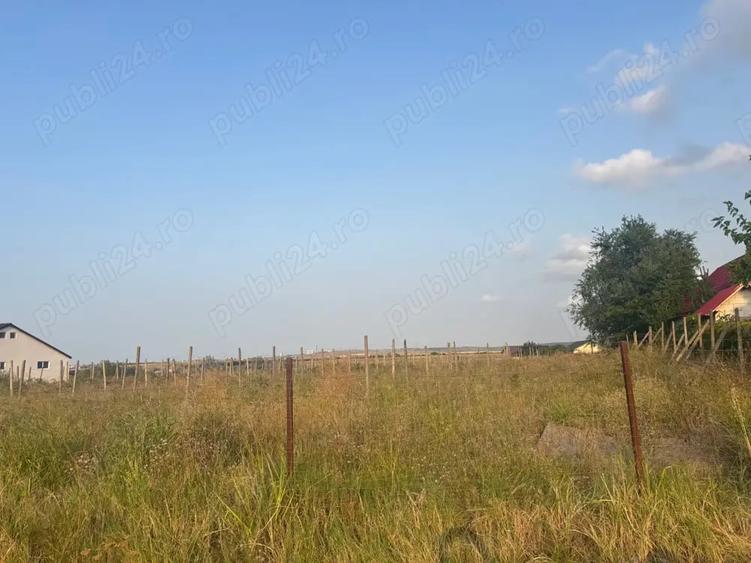 Teren de 5000 mp, în Mineri