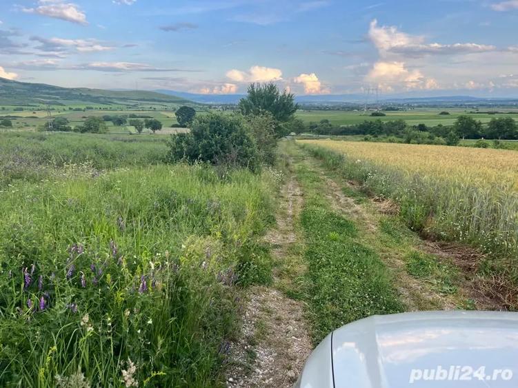 Teren de 16500 mp, în Bârsău