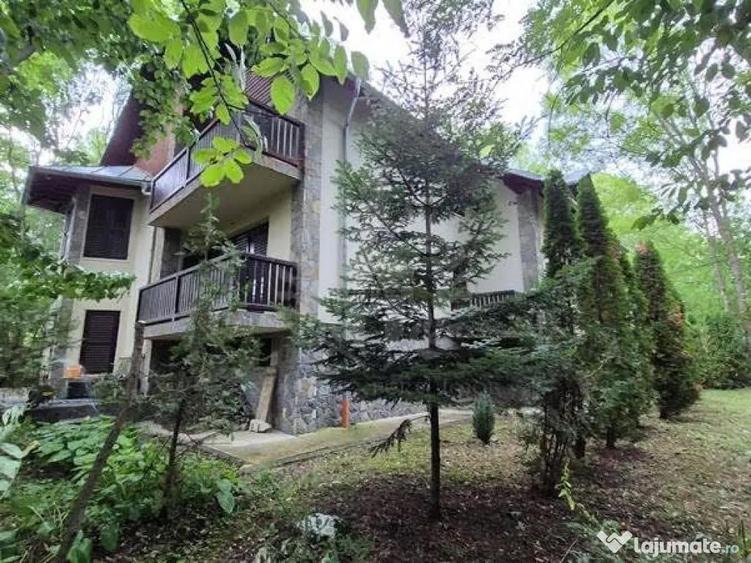 CASA DE VACANTA//CORNU DE JOS - 6