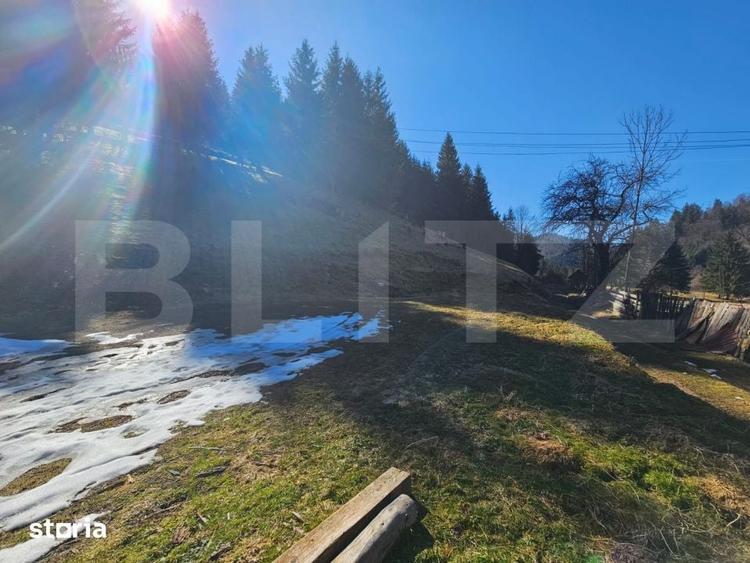Teren de 2977 mp, în Scărișoara