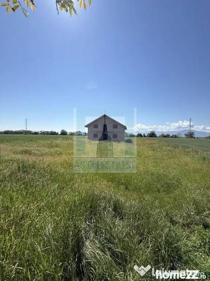 Teren de 50000 mp, în Hălchiu