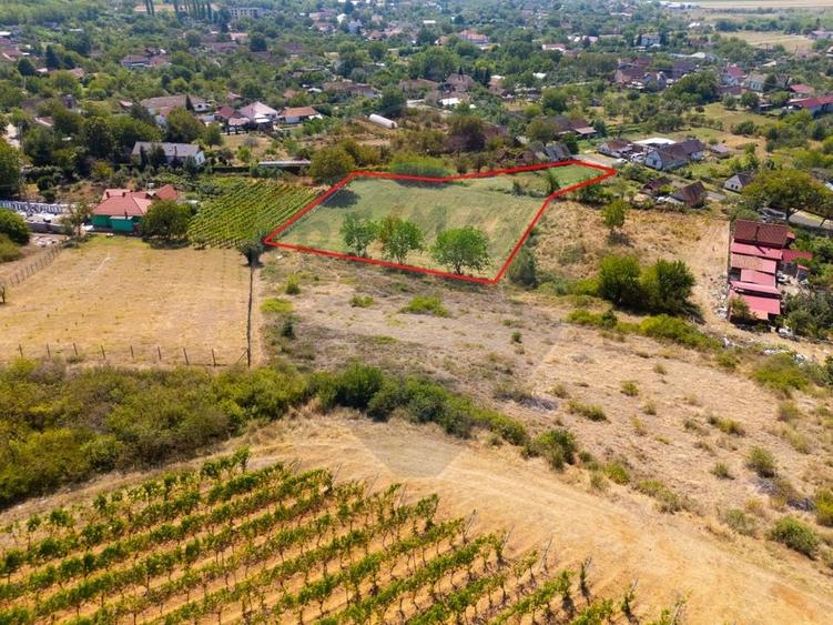Teren Construcții intravilan de 4184 mp, în Miniș
