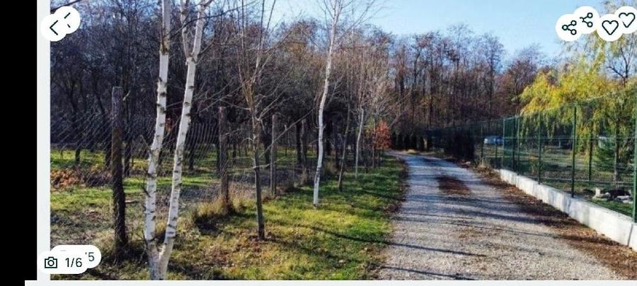 Teren de 500 mp, în Siliștea Snagovului