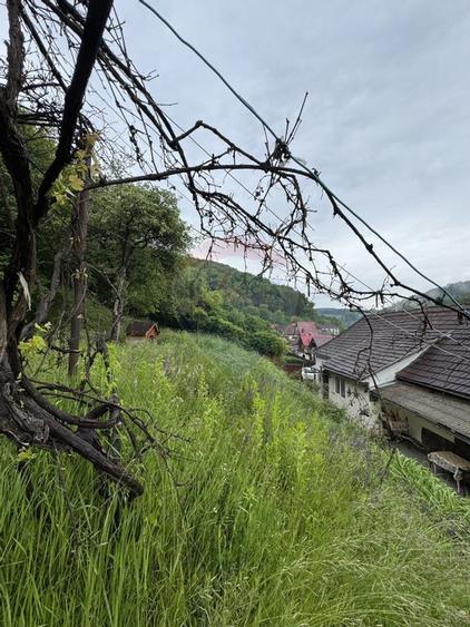 Casa in mijlocul naturii in Sighi?oara, 912 mp teren - 4