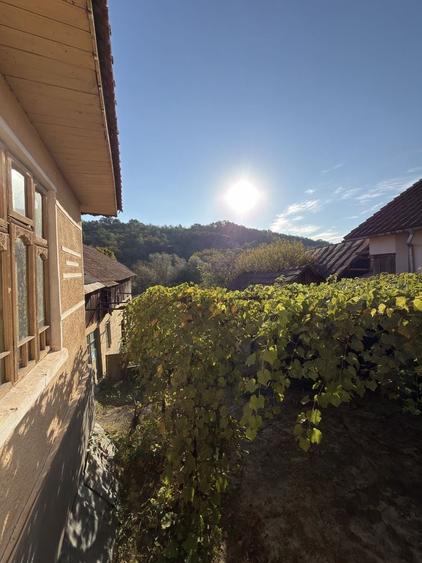 Casă cu 3 camere în Pârâu