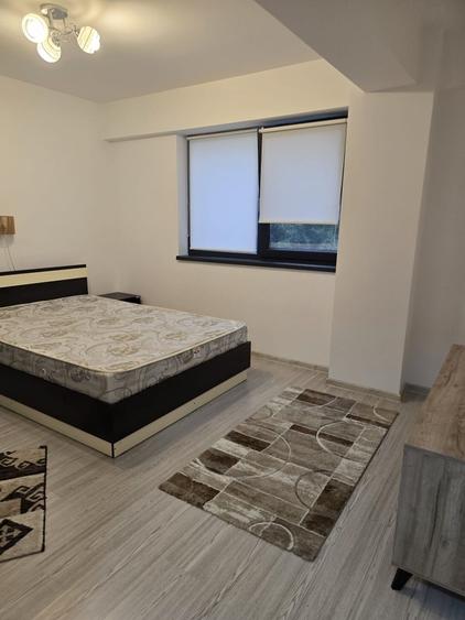 Apartament de inchiriat 2 camere Nicolina Cug - 4