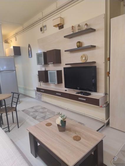 Apartament/ Studio de inchiriat - 11