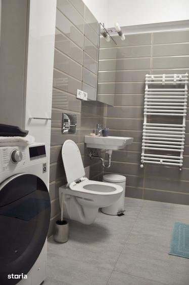 Apartament cu 2 camere, mobilat în Viile Noi