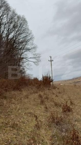 De vanzare Teren extravilan 3300mp - padure, loc. Salicea, jud. Cluj - 5