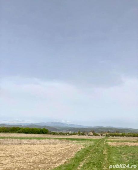 Teren de 3700 mp, în Bârsești (Budești)