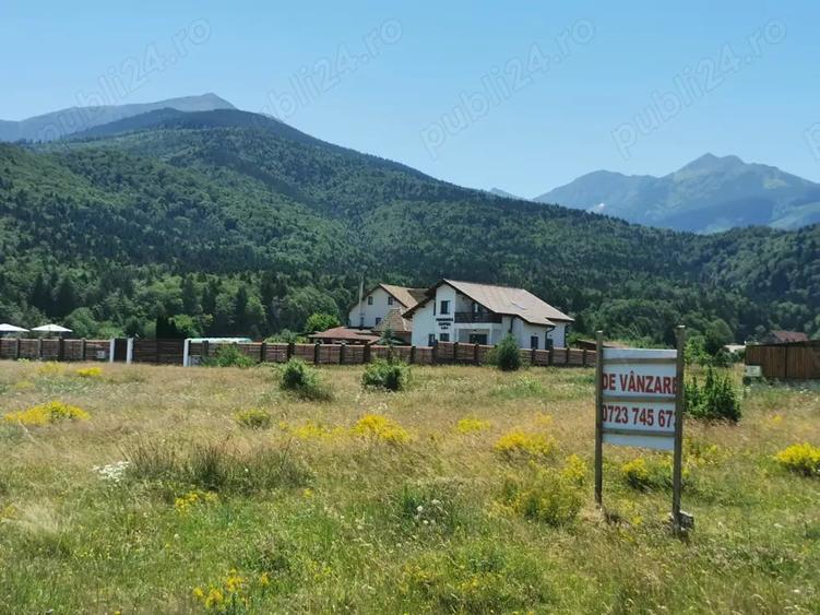 Teren de 1000 mp, în Sâmbăta de Sus