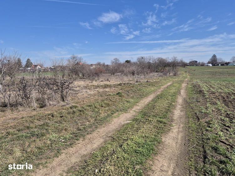 Trestieni - Ulmi, vanzare teren 1.663mp, intravilan - 12