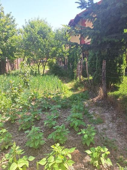 Casă cu 2 camere în Curtea de Argeș