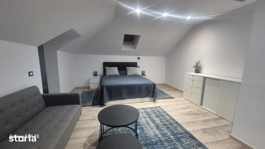 Casă cu 6 camere cu Teren 653 Mp în Alexandru cel Bun
