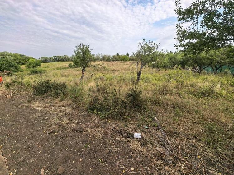 Teren de 2170 mp, în Chicerea