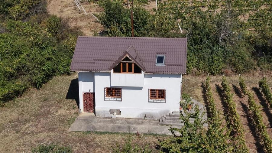 Casă cu 3 camere în Central