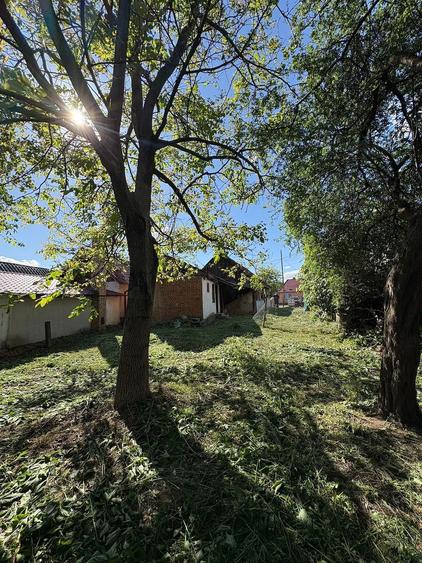 Teren de 1386 mp, în Tisa