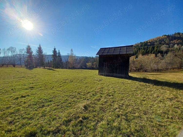 Teren de 8000 mp, în Vama