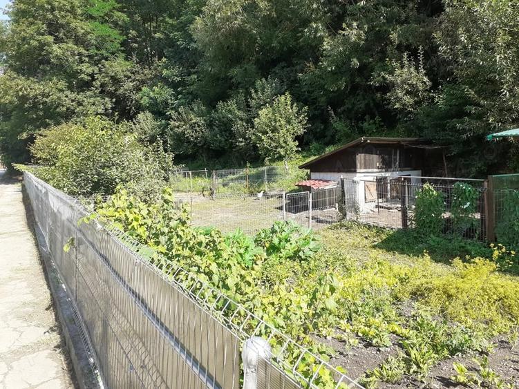 Casă cu 6 camere în Câmpulung Moldovenesc