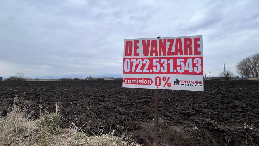 Teren agricol extravilan de 50000 mp, în Hălchiu