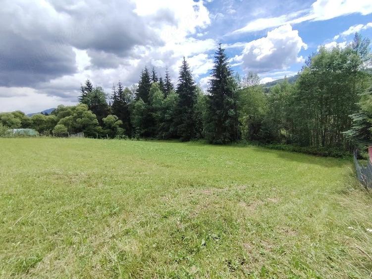 Teren de 19370 mp, în Neagra