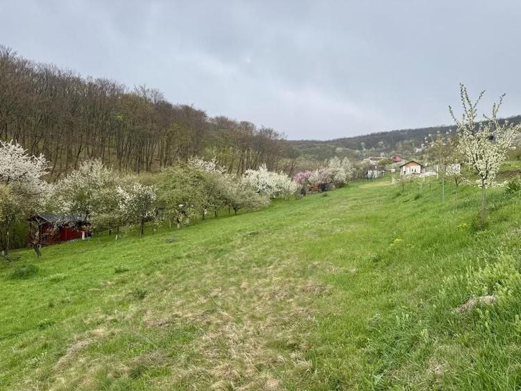 Teren Construcții intravilan de 950 mp, în Vulcan