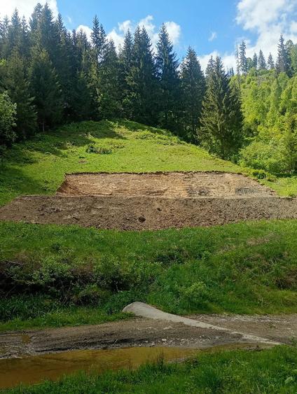 Teren de 3100 mp, în Muntele Băișorii