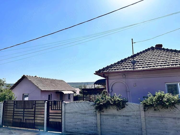Casă cu Teren 3000 Mp în Arginești