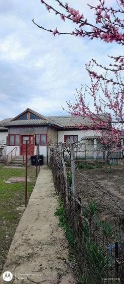Casă cu Teren 1012 Mp în Băneasa