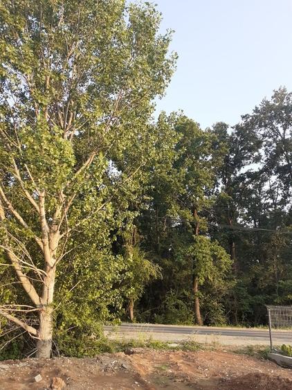 Teren în Snagov