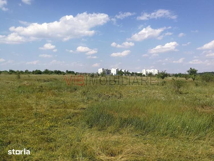 Baneasa - Piscul Reghiului, teren intravilan, suprafata 727 mp - 1