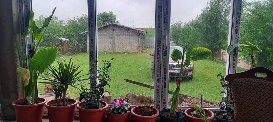 Casă cu 3 camere cu Teren 867 Mp în Central