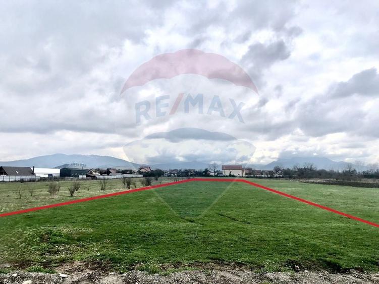 Teren Construcții intravilan de 506 mp, în Cărpiniș