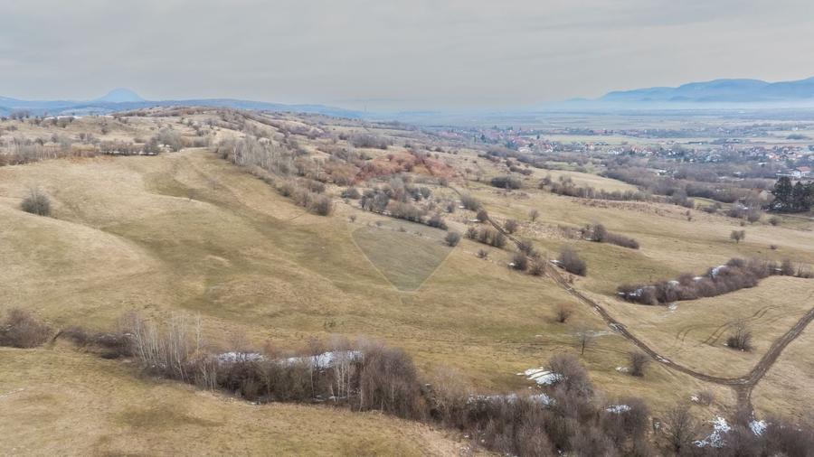 Teren Construcții intravilan de 5602 mp, în Tohanu Nou